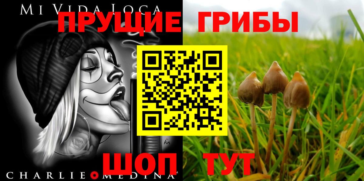 Псилоцибиновые грибы мухоморы  Галлюциногенные грибы мицелий  Вход с VPN  Камышин 
