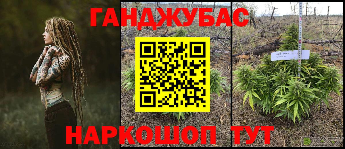 Бошки Шишки семена Камышин